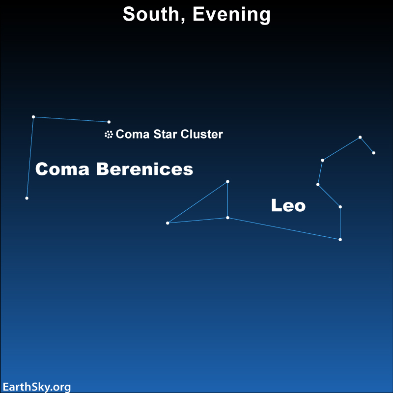 Chart with dots for stars and labeled constellations Coma Berenices and Leo plus Coma cluster.