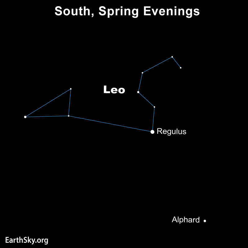 Dots and lines creating Leo with star Alphard lower right.