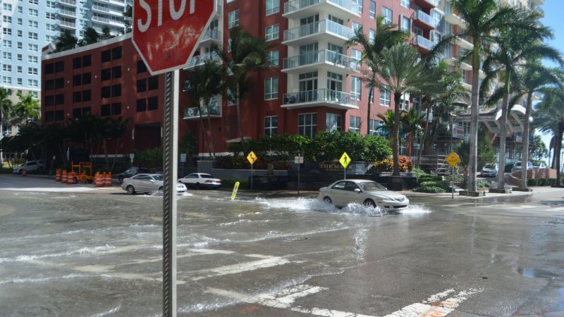 Sea level rise: Street corner scene with car splashing through high water on sunny day, with palm trees.
