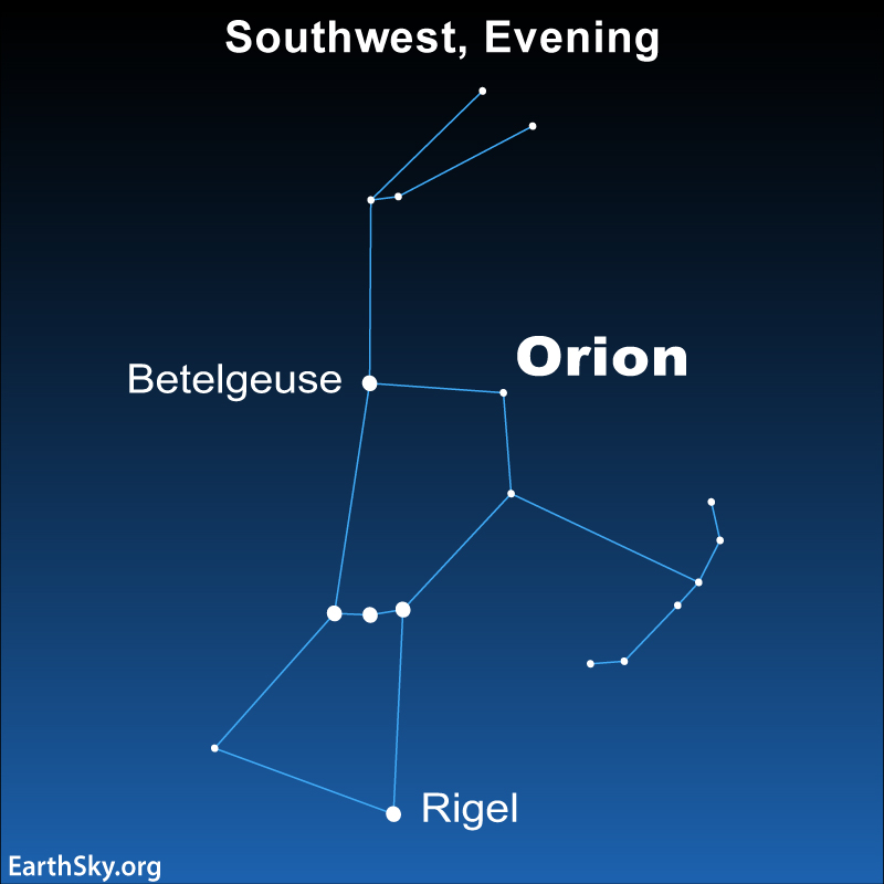 Star chart showing constellation Orion.