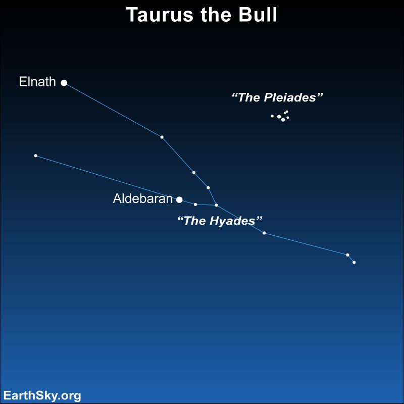 Taurus the Bull: Two-pronged fork made with dots and lines, small dot cluster at top right.