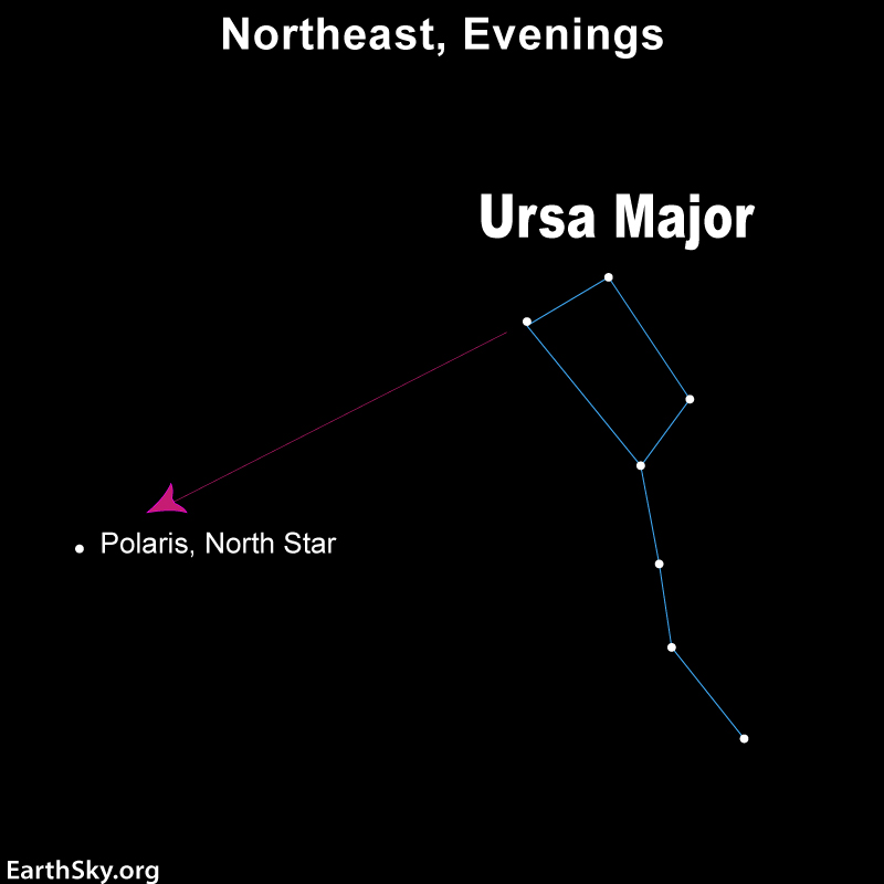 Star chart showing the Big Dipper. A red line from the two stars on the top, points to the star Polaris.