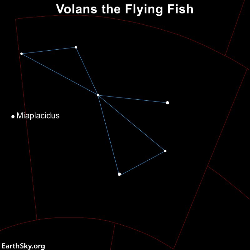 Volans the Flying Fish in southern skies