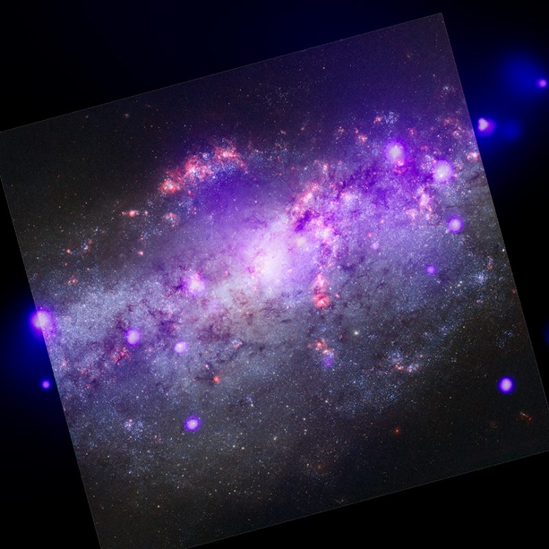 Starfield with pink and purple bright spots, small white spots and black filaments.