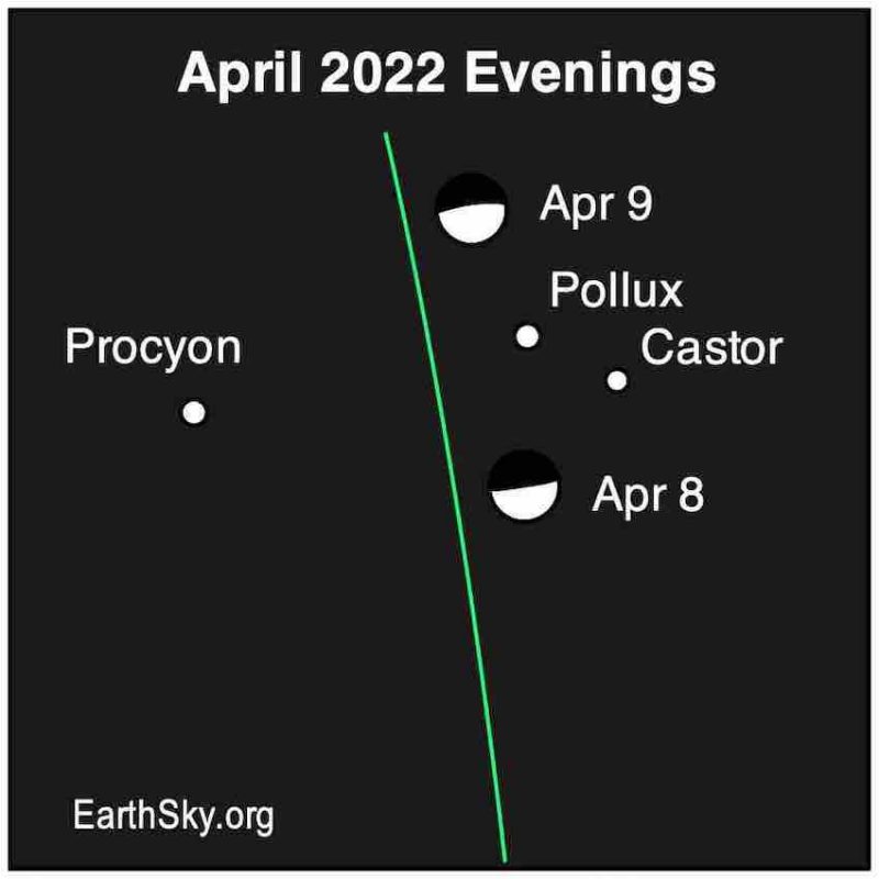 Two dots labeled Pollux and Castor with a half-moon shape above and below, plus dot for Procyon on left.