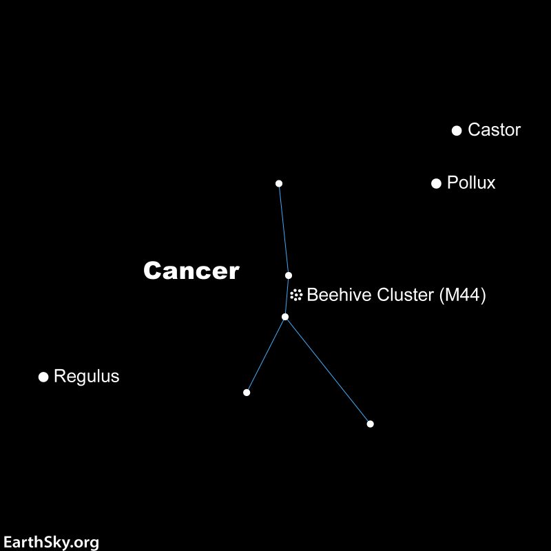 Star chart: upside down Y shape for constellation Cancer, with other labeled stars and small dots for cluster.