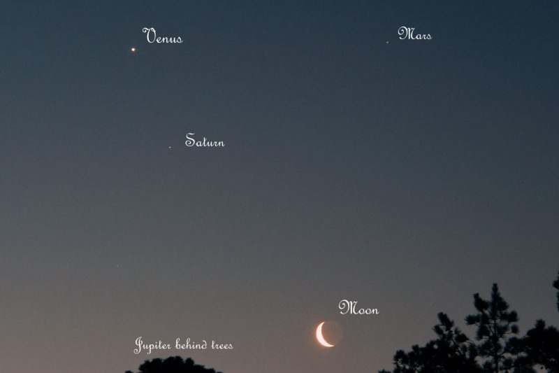 View of the sky at dawn with the moon and three bright planets.