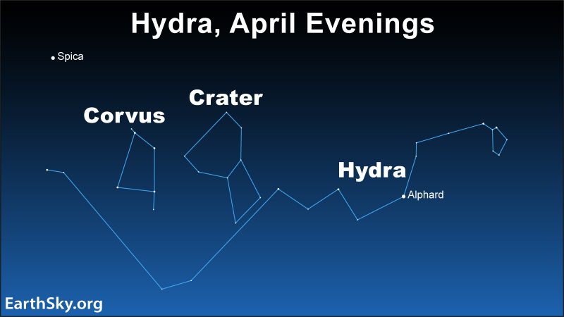 Hydra: Long line connected with dots and loop on right, chalice and irregular rectangle on top.