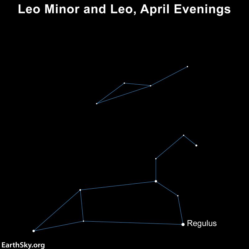 Star chart: Lion-shaped constellation Leo below, and a few stars linked with lines above.