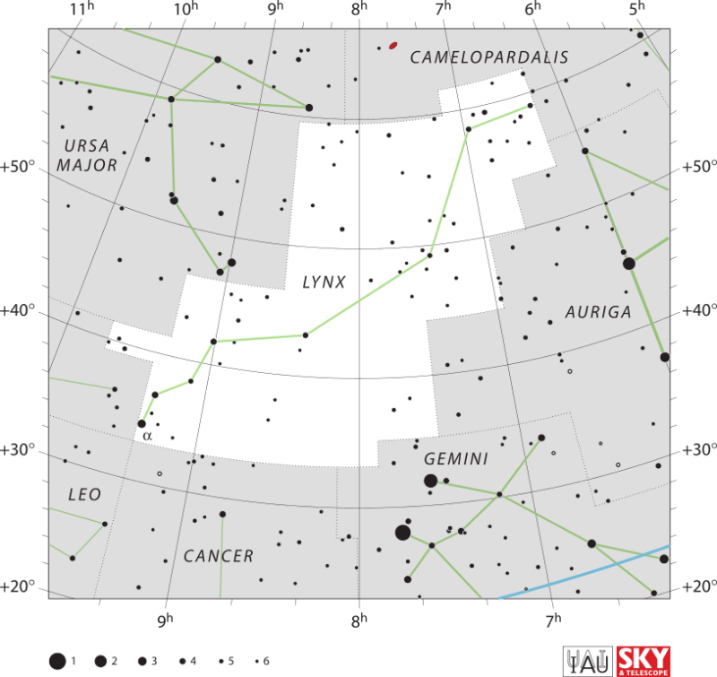 White background and black dots for Lynx and other constellations.