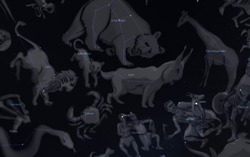 Figure of lynx surrounded by other animals on black background, with scattered stars.
