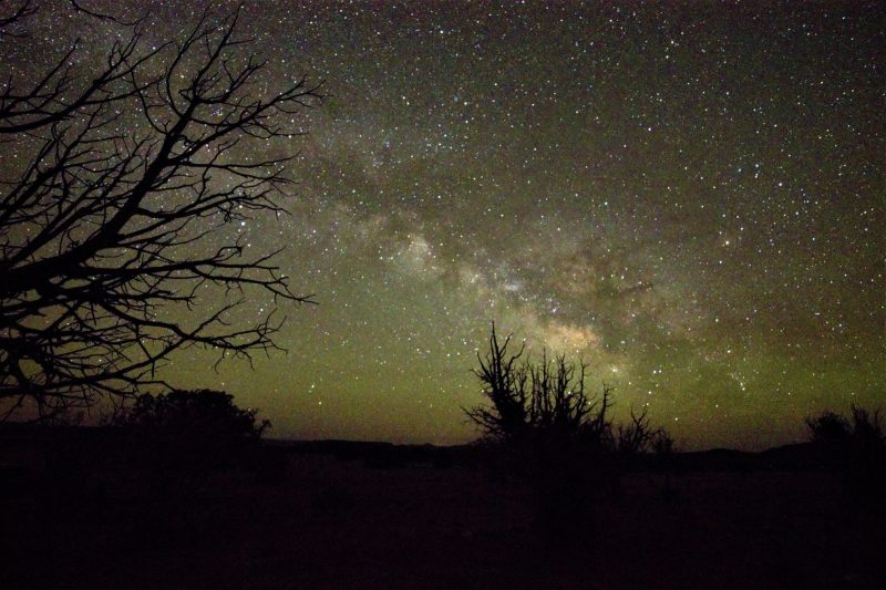 Milky Way with dark trees in foreground.