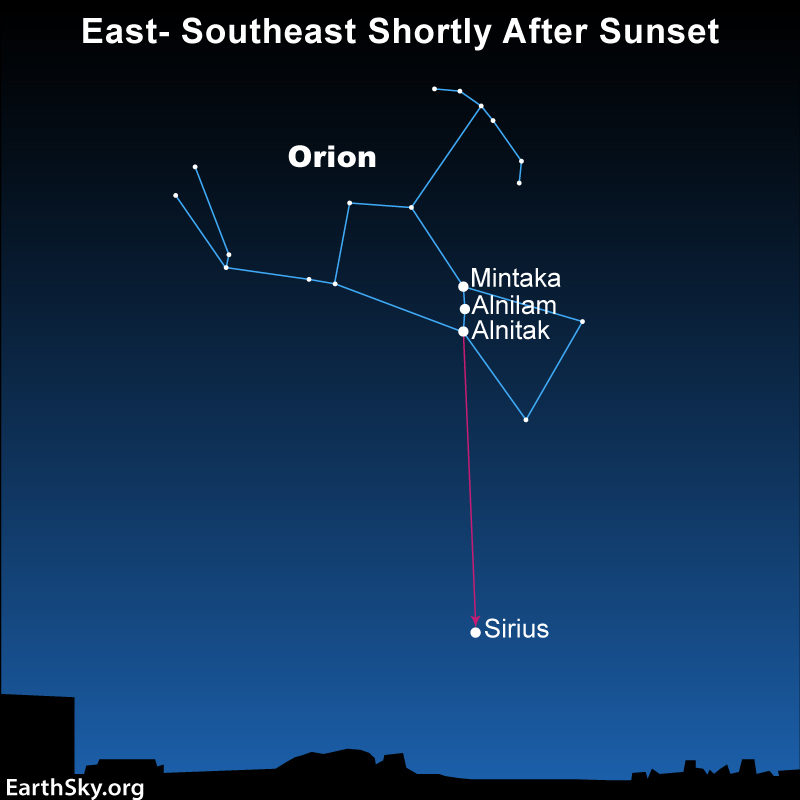 Dots and lines tracing shape of Orion with arrow pointing for belt to Sirius near horizon.