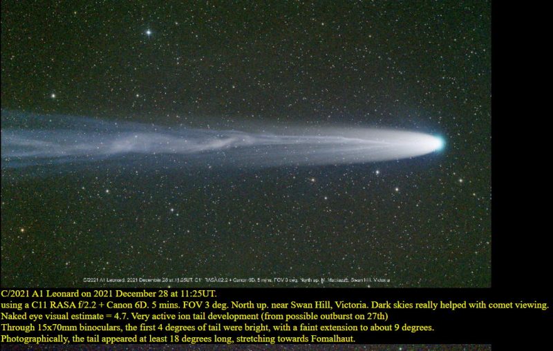 A comet, with a long tail with wavy brighter streaks within it.