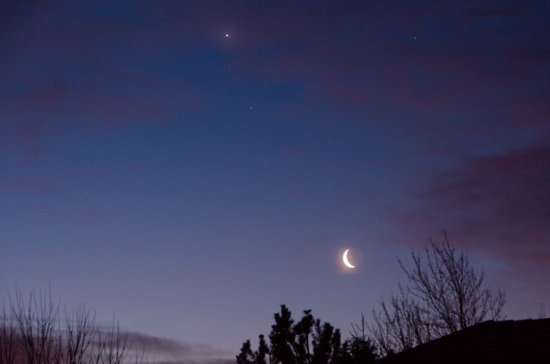 Dawn with a tree foreground, the moon and three bright planets.