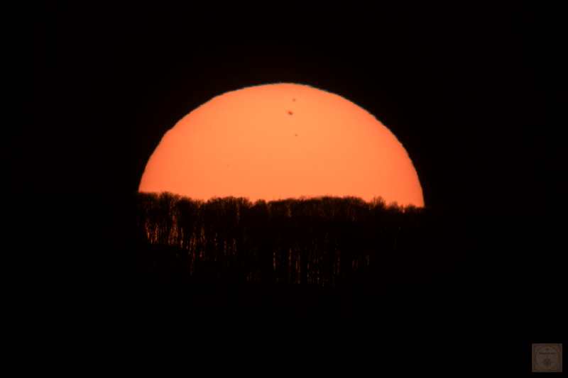 Heavily magnified setting sun seen with prominent sunspots.
