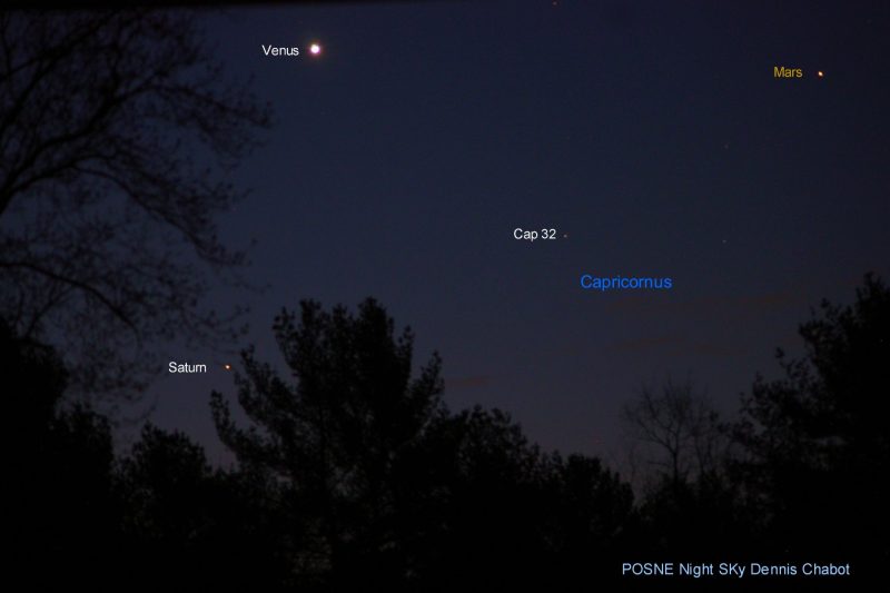 Some trees at night, Saturn on the left - between two trees - and Venus at top. Mars is on the right.
