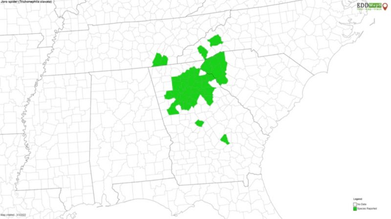 Green counties in a cluster surrounded by white counties in northern Georgia and surrounding states.