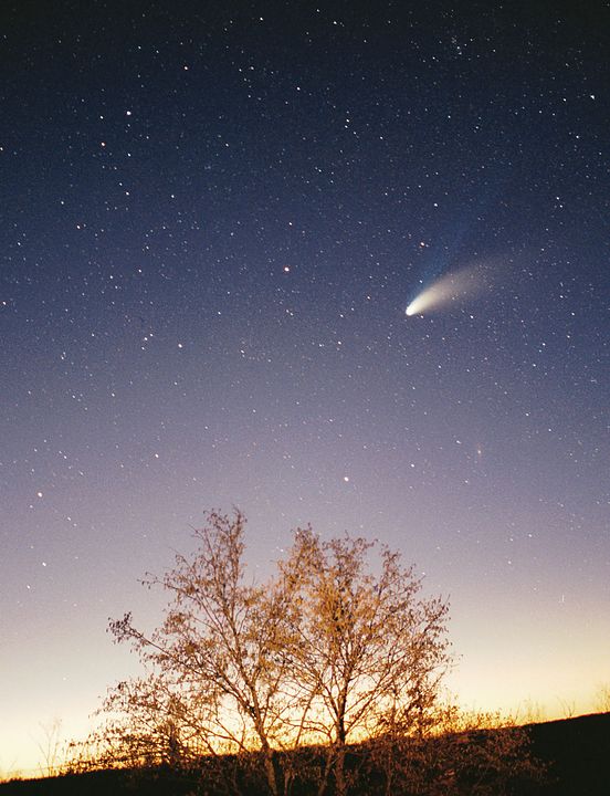Sky gradient from yellow via purple to dark, with a tree in the foreground and a bright comet on the sky.