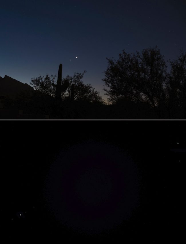 Two bright planets at dawn over a foreground of cacti and dry vegetation.
