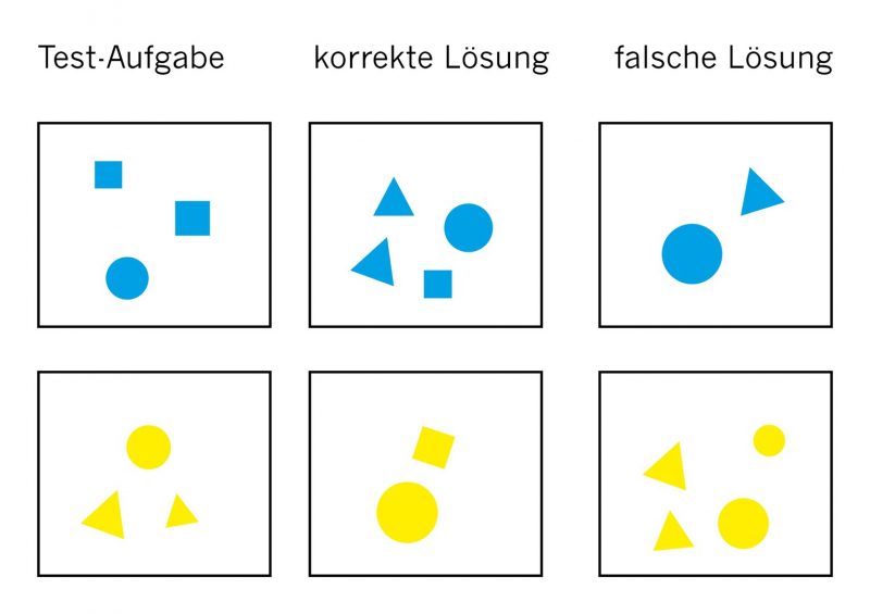 6 boxes with blue or yellow shapes inside, increasing or decreasing by 1 shape.