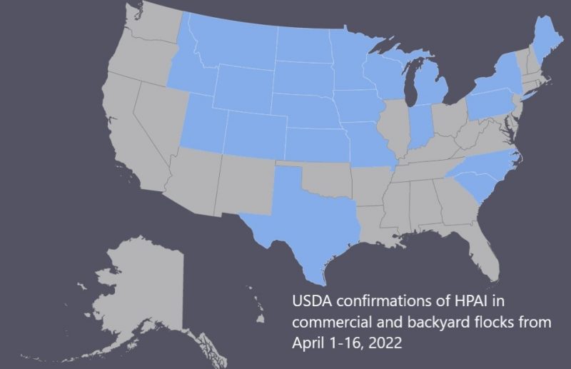 Bird flu: Map of US with half the states in blue.