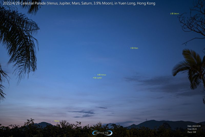 Branches from palm trees surround the planetary conjunction.