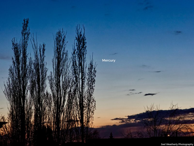 Sunset with tall narrow trees and label of Mercury on small dot in blue twilight sky.