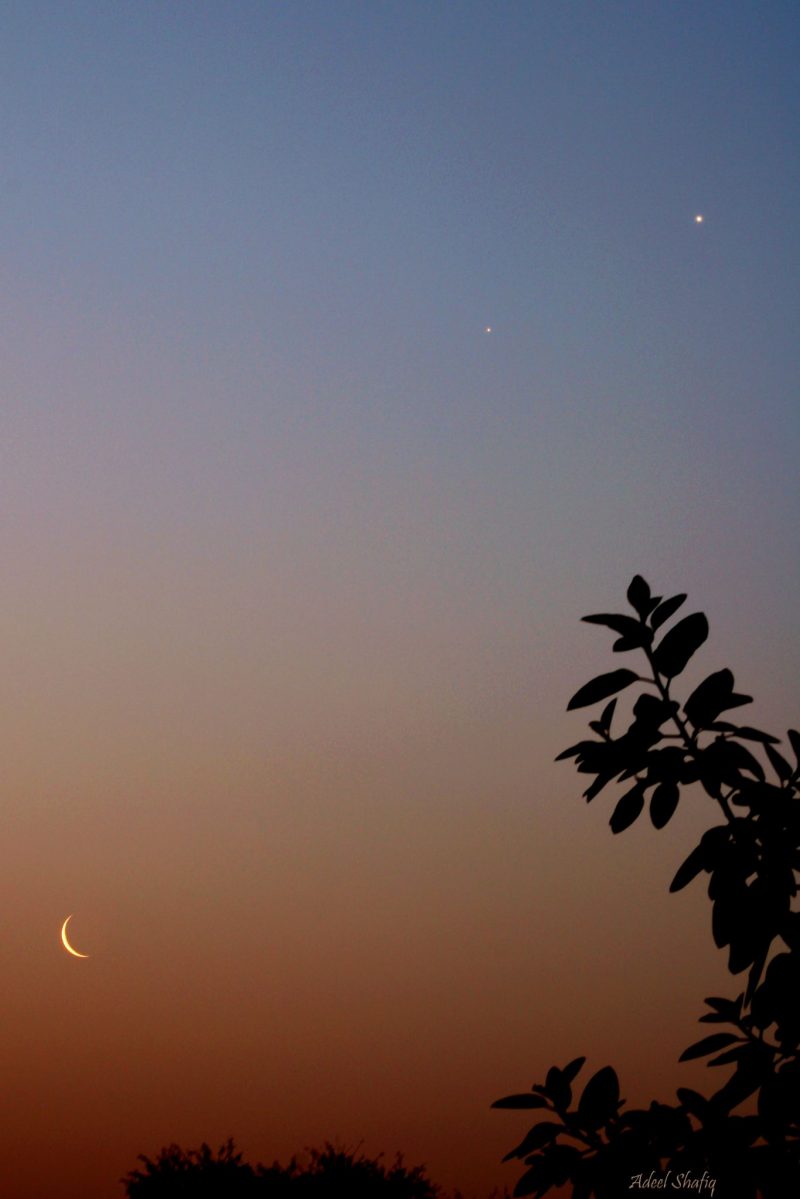 Orange sky at the bottom and blue sky at the top. The branch of a tree, the moon and 2 planets appear on the image.