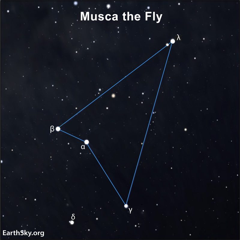 Musca: Arrowhead shape made of dots and lines with background stars and Greek letter labels.
