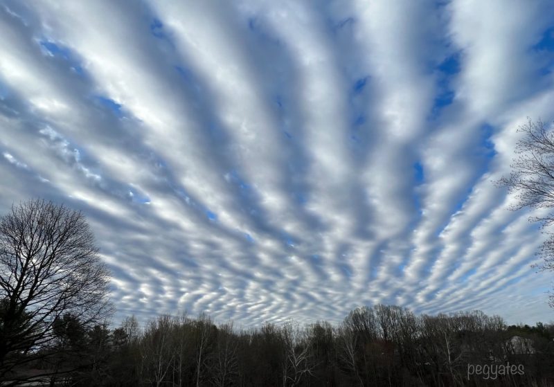 White clouds in wriggly stripes alternating with stripes of blue sky.