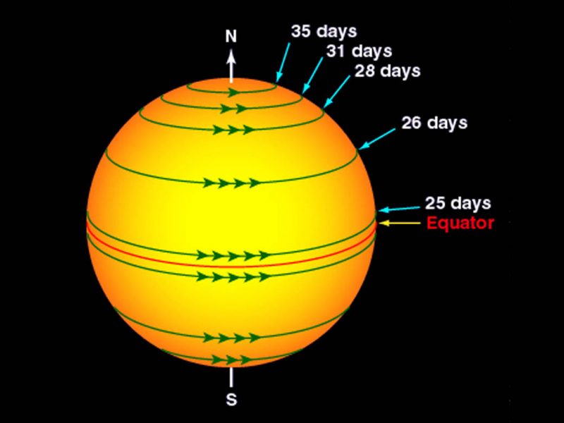 Sun with arrows showing how fast rotation is from poles to equator.
