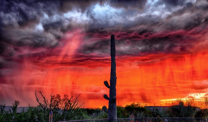 Ominous clouds with streaks of red rain from sunset and saguaro cactus in foreground.