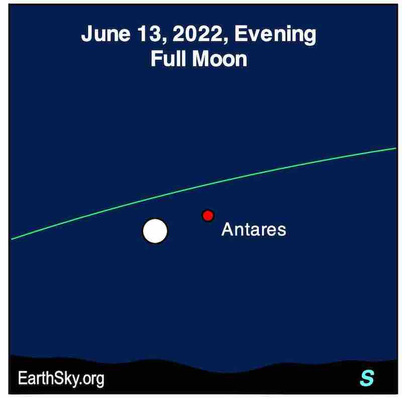 Full moon and Antares