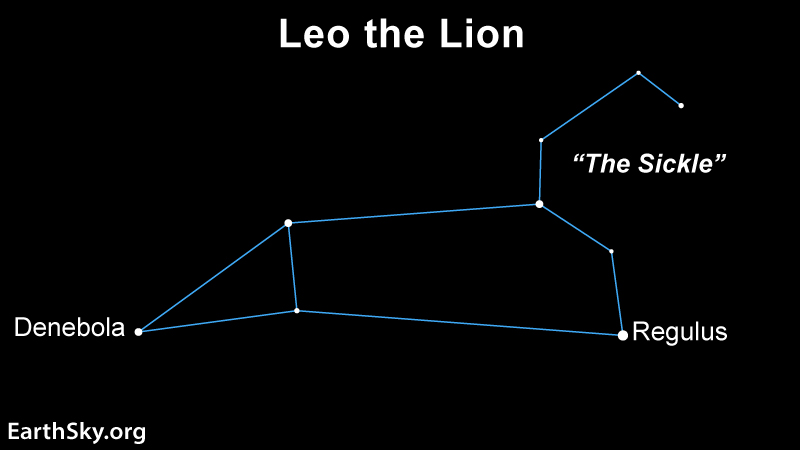 Star chart: Lines and dots outlining animal-shaped Leo, with star Regulus at bottom right.