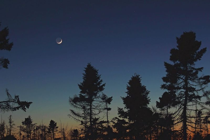 Waxing crescent moon: Image at twilight with trees and stars.