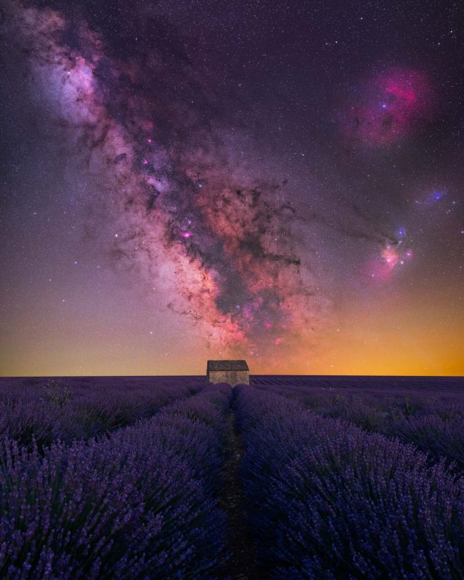Long rows of lavender and a shack with a cloud of stars stretching upward.