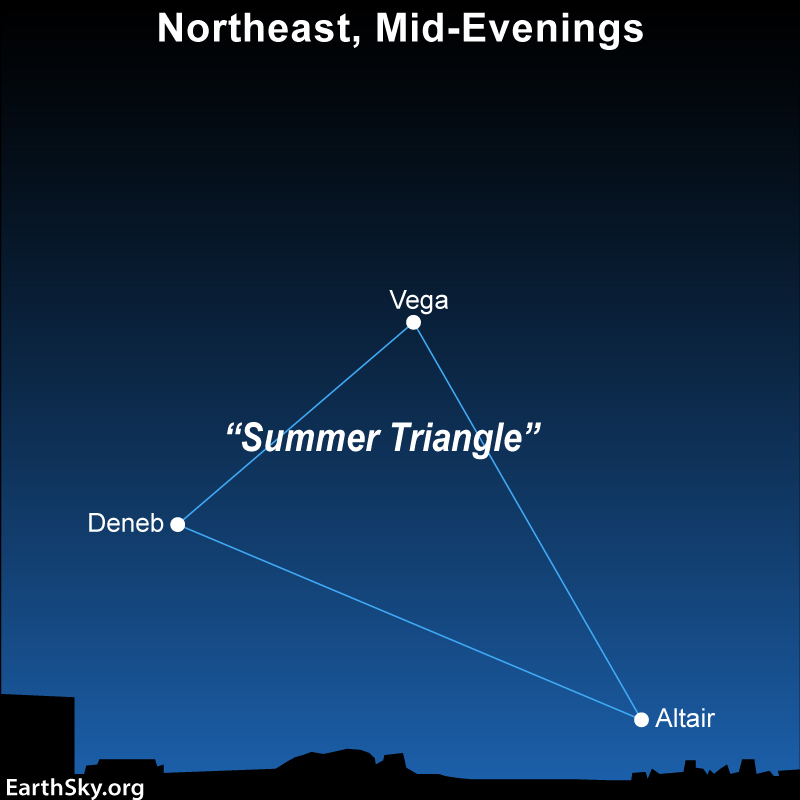 Deneb: Asterism with three stars in a triangle and the words Summer Triangle on top.