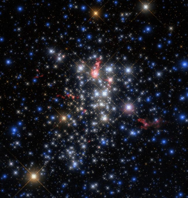 Westerlund 1: Irregular cluster of very many stars, red and white toward center, blue on outskirts.
