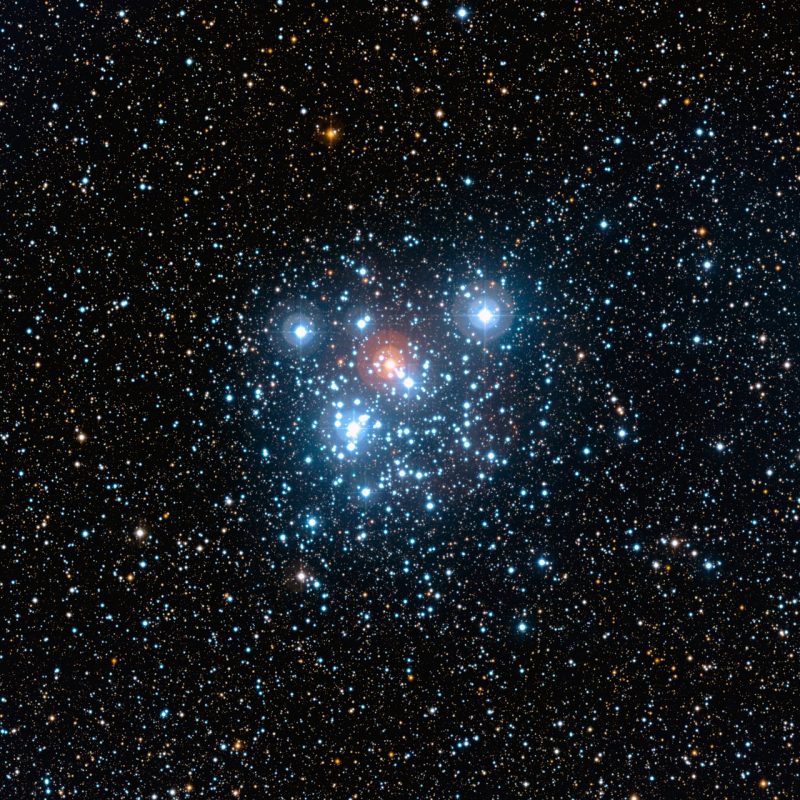 Blue cluster of stars with one red one near center.