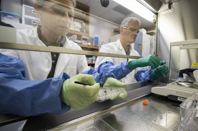 Two scientists in protective gloves handling small test tubes with tiny seedlings.