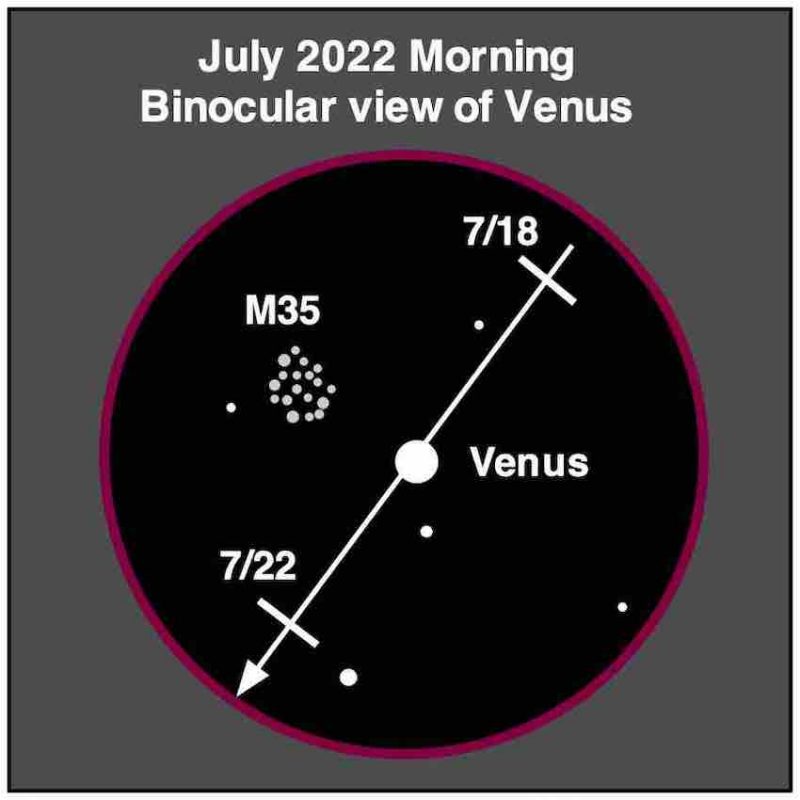 Venus near M35, labelled.