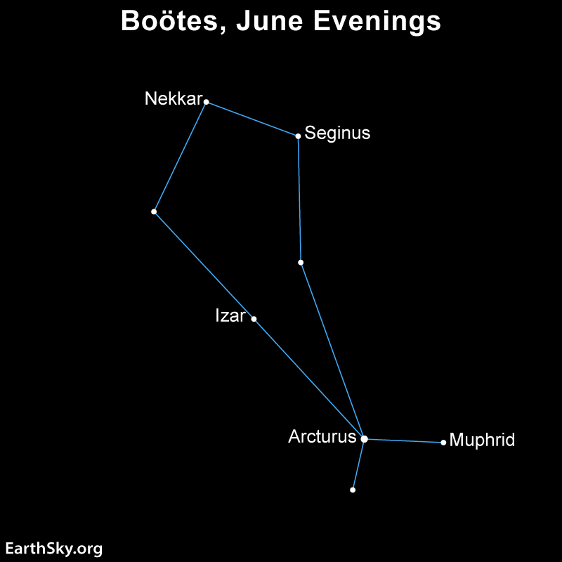 Star chart: Constellation Boötes shaped like long narrow kite with 5 labeled stars.
