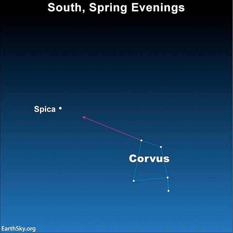Sky chart with arrow going from two stars of Corvus to Spica.