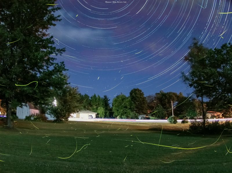 Curved green lines anc concentric star trails above backyard grass and trees.
