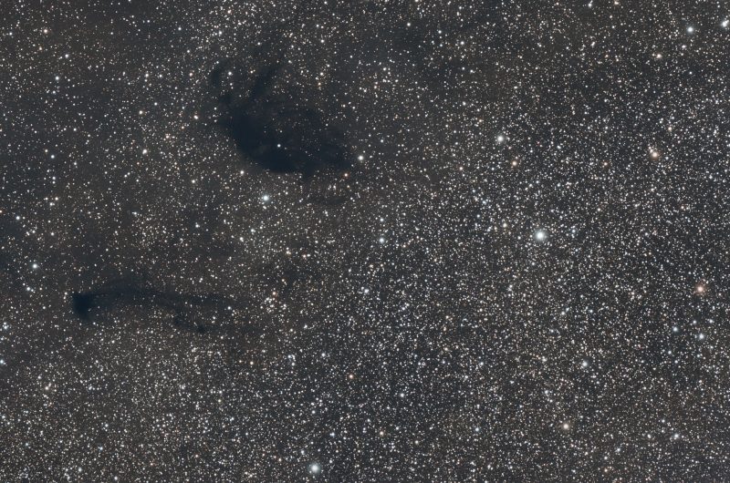 Two dark clouds among a multitude of background stars.