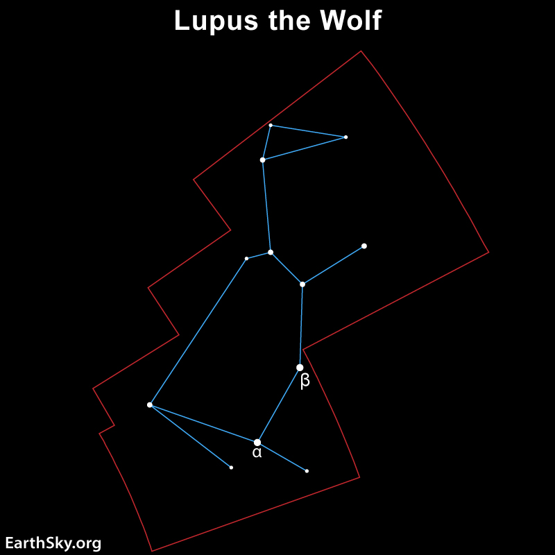 Lupus the Wolf: Stick figure of an animal inside red boundary with alpha and beta stars labeled.