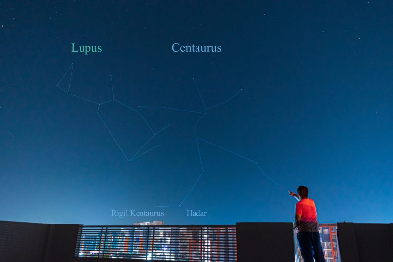 Constellations Lupus and Centaurus outlined in white on dark blue sky and man pointing to sky.