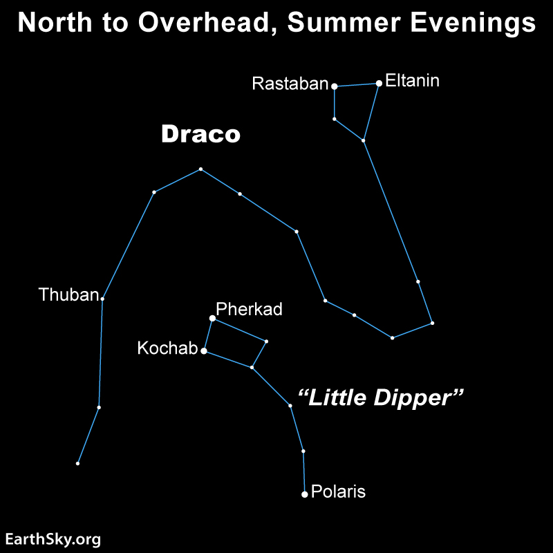 Eltanin and Rastaban: Star chart: Blue lines connecting labeled stars on black for 2 constellations, Draco and Little Dipper.