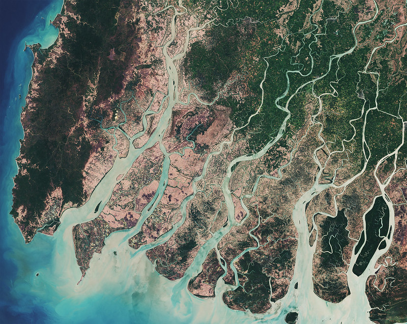 Rivers: Overhead view of river delta with water snaking into land.